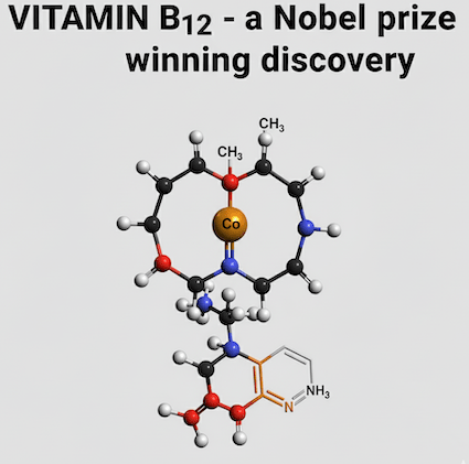 Vitamin B12 as Methylcobalamin: What It Does and Why It Matters - Patched Up