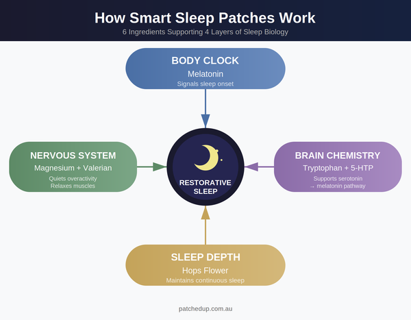 Diagram showing how Smart Sleep Patch ingredients work together: melatonin for body clock, magnesium and valerian for nervous system calm, tryptophan and 5-HTP for brain chemistry, and hops for sleep depth — all supporting restorative sleep.